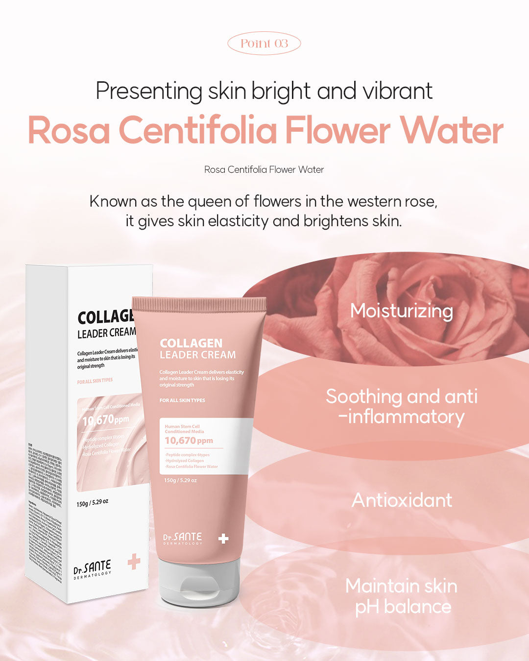 Dr. Sante Collagen Leader Cream 150g