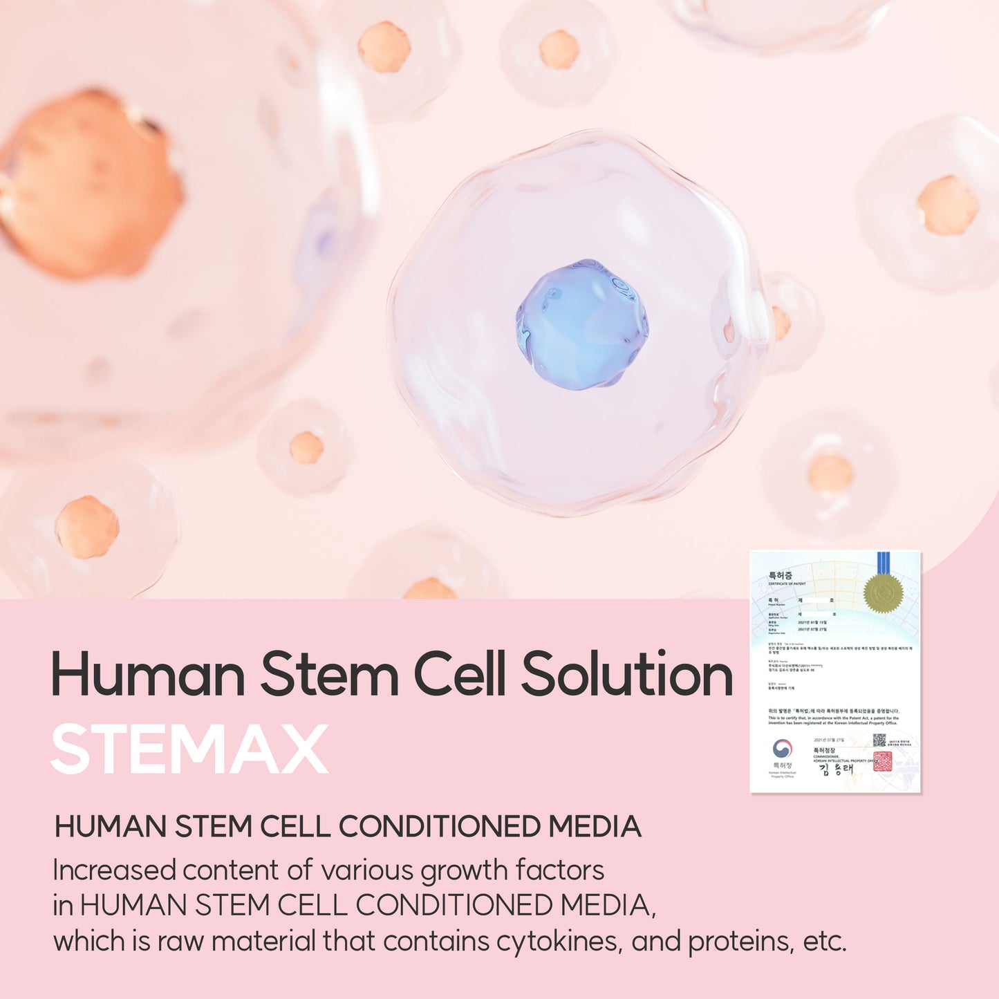 Dr. Sante Collagen Leader Ampoule 100ml