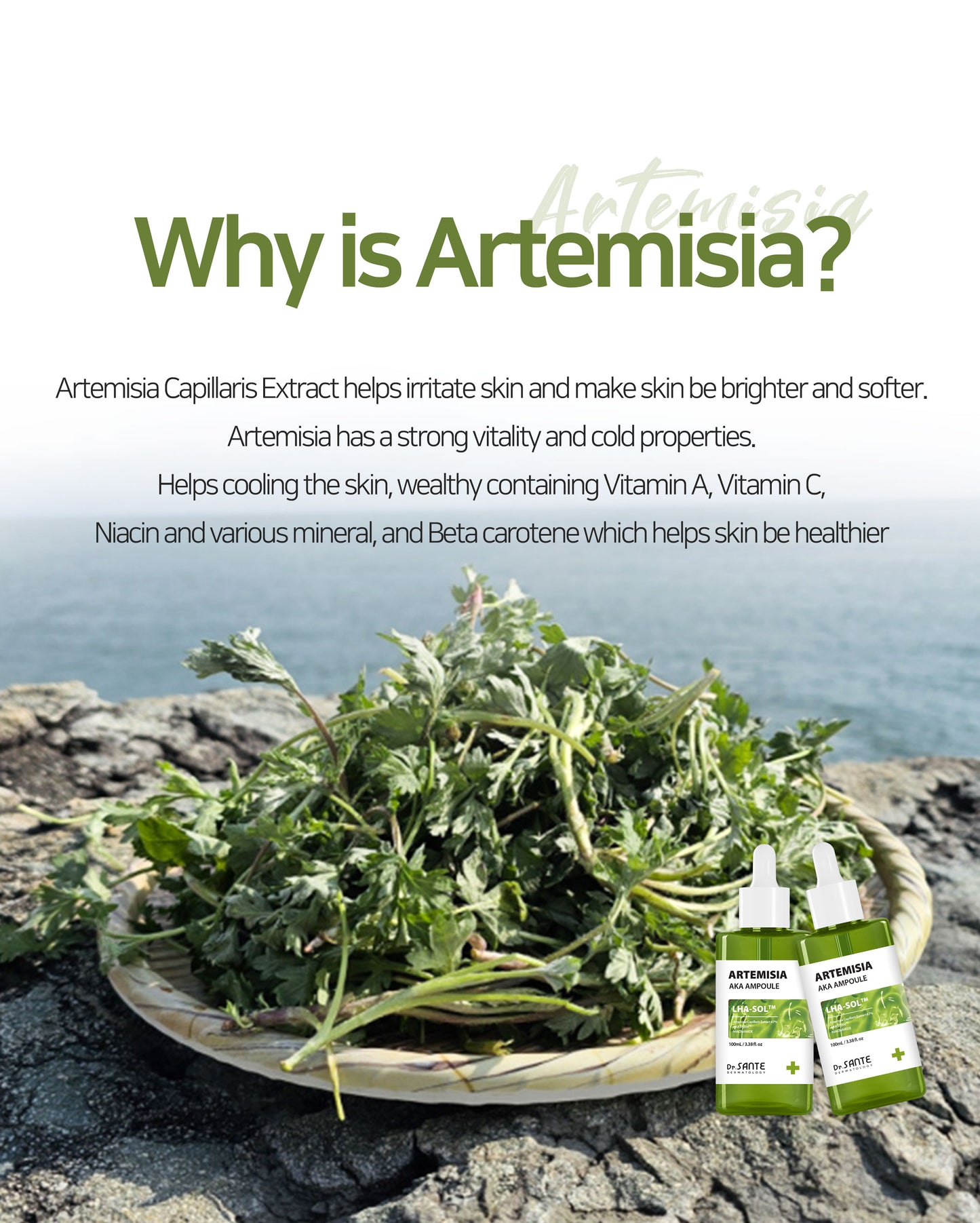 Dr.Sante Artemisia AKA Ampoule 50ml / 100ml