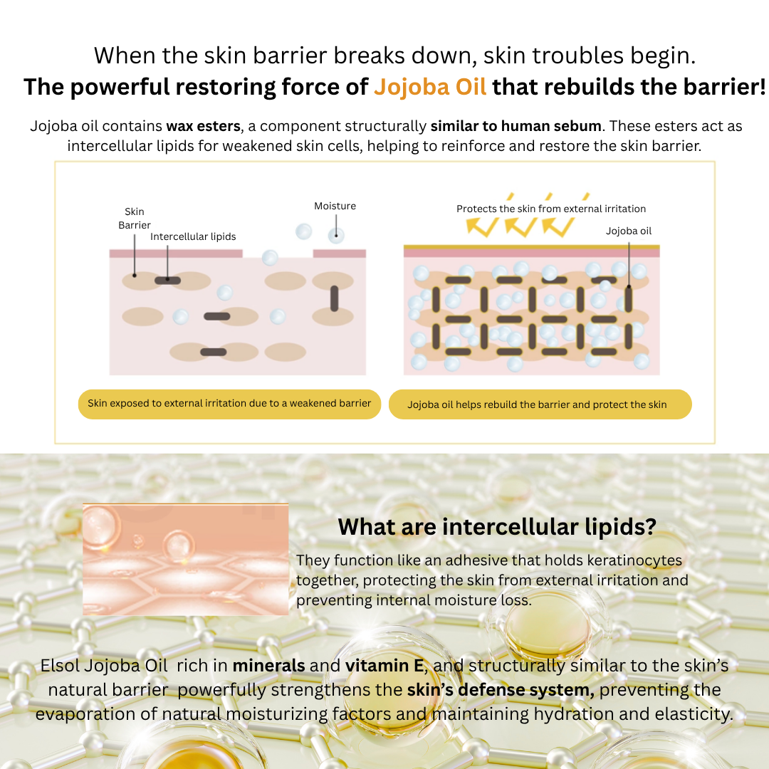 Dr. Sante Elsol Boosting Oil 50ml