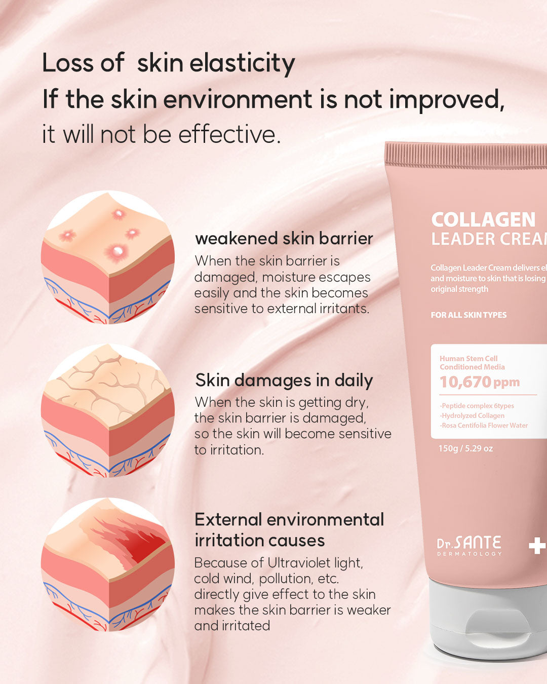 Dr. Sante Collagen Leader Cream 150g (5.29oz)

Elasticity &amp; Nourishing Cream for Dry, Weak &amp; Aging Skin

A rich moisturizing cream formulated with 10,670 ppm Human Adipose-Derived Stem Cell Conditioned Media to help improve skin elasticity, strengthen the moisture barrier, and restore healthy-looking vitality to weakened skin.

Infused with 6 types of peptides, Hydrolyzed Collagen, and Provence Rose Flower Water, this nourishing cream helps support skin renewal while improving the appearance of firm