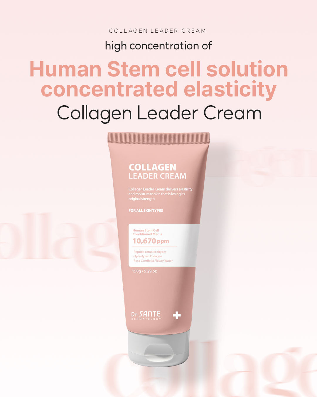 Dr. Sante Collagen Leader Cream 150g (5.29oz)

Elasticity &amp; Nourishing Cream for Dry, Weak &amp; Aging Skin

A rich moisturizing cream formulated with 10,670 ppm Human Adipose-Derived Stem Cell Conditioned Media to help improve skin elasticity, strengthen the moisture barrier, and restore healthy-looking vitality to weakened skin.

Infused with 6 types of peptides, Hydrolyzed Collagen, and Provence Rose Flower Water, this nourishing cream helps support skin renewal while improving the appearance of firm